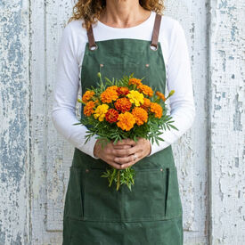 Petite Mix, Marigold Seeds